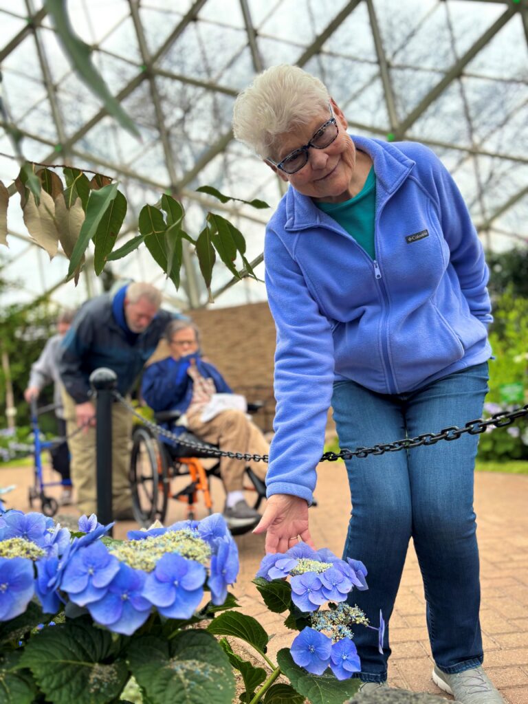 An older woman in a blue jacket smiles as she gently touches blue hydrangeas in a greenhouse. Two other elderly people, one in a wheelchair, are in the background surrounded by greenery.