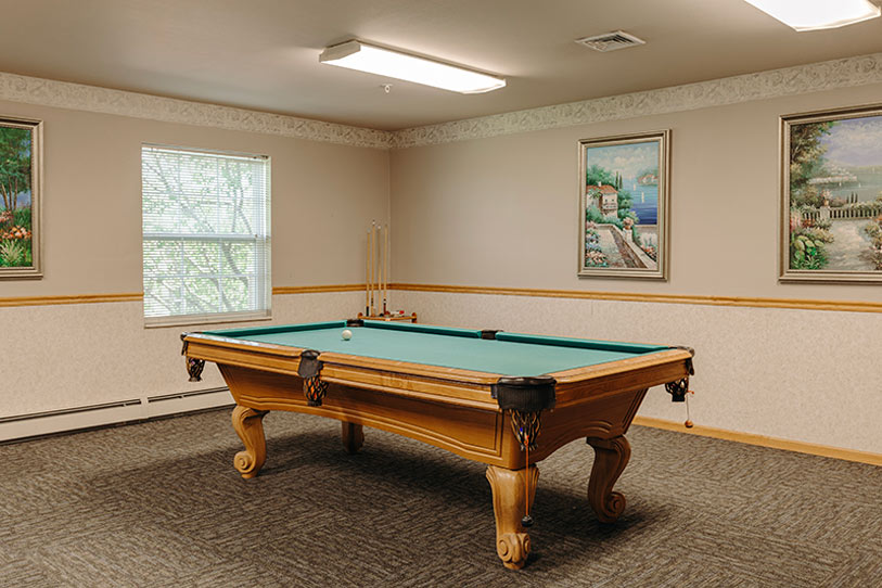 A pool table with green felt stands in a carpeted room, lit by ceiling lights. Pool cues and balls are in the corner, and three framed landscape paintings hang on the beige walls. A window lets in natural light.
