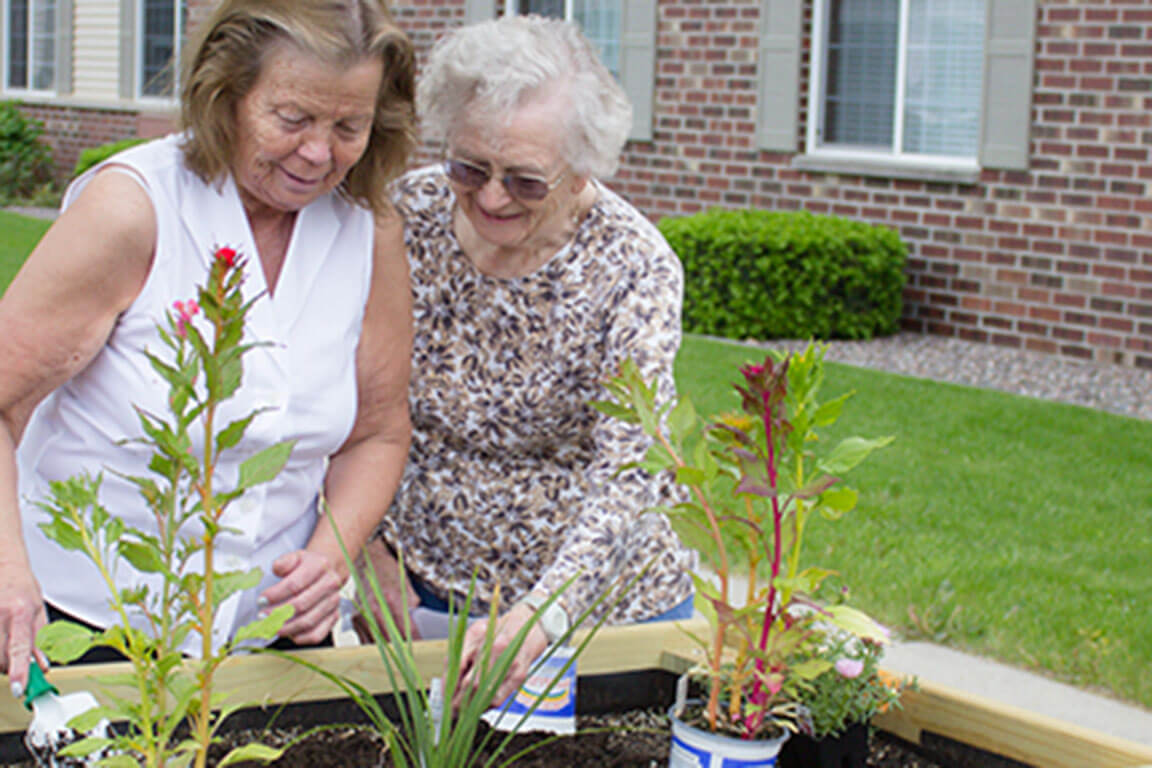 Two Residents Enjoying Gardening on A Summer Day