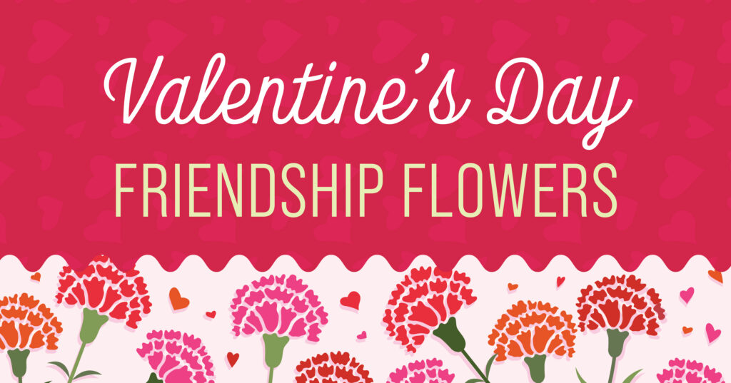 A red and pink graphic with heart patterns reads Valentines Day Friendship Flowers, above rows of red, pink, and orange carnations surrounded by small hearts.