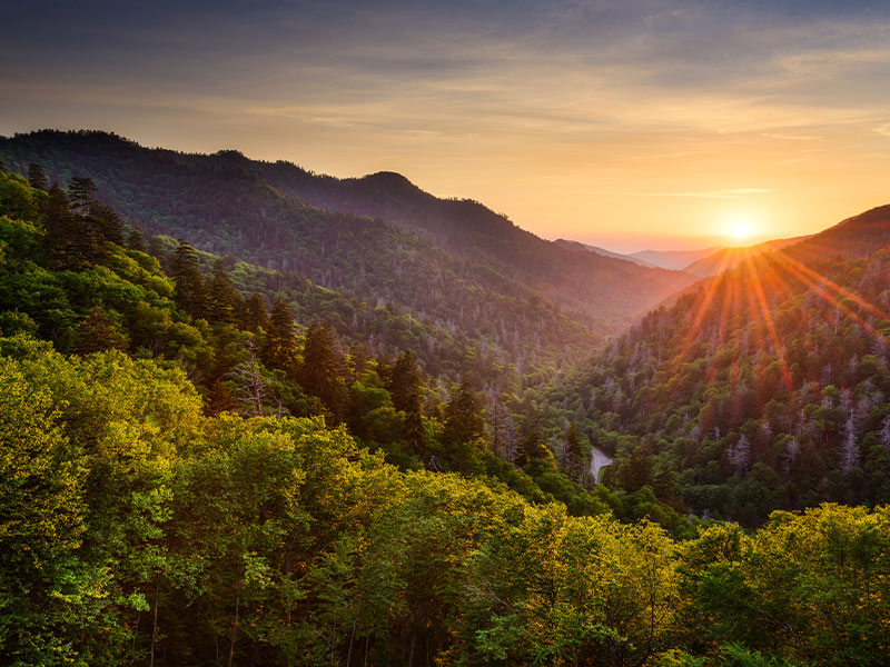 Sunset over a lush, green forested valley and rolling mountains, with sunlight streaming through a partly cloudy sky, illuminating the landscape with a warm golden glow.
