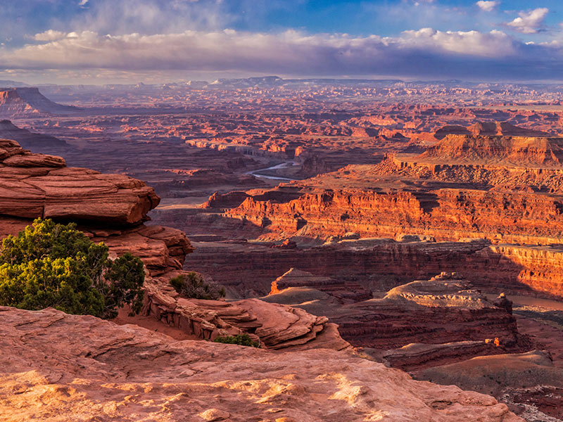 Sweeping view of a dramatic red rock canyon landscape under a partly cloudy sky, with rugged cliffs, mesas, and a winding river visible in the distance. Sparse green shrubs grow among the rocky foreground.