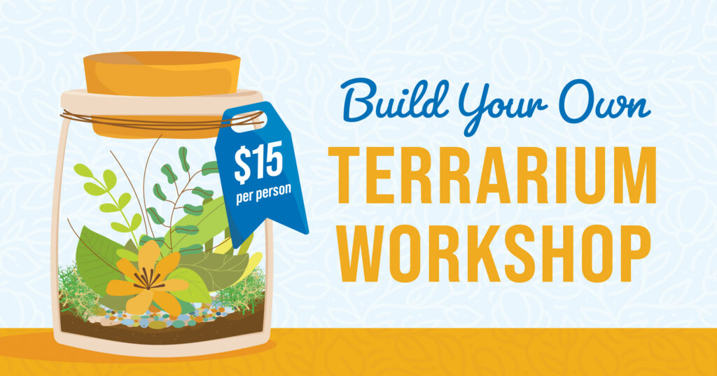 Illustration of a jar terrarium with plants and flowers, and a price tag reading $15 per person. Text reads Build Your Own Terrarium Workshop on a light blue patterned background.