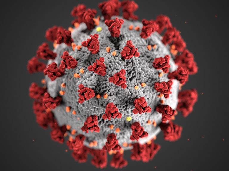 3D illustration of a spherical virus particle with a gray surface and red spike proteins protruding from it, resembling the structure of the coronavirus (COVID-19) against a dark background.